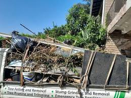 Best Scrap Metal Removal  in Hoer, OK